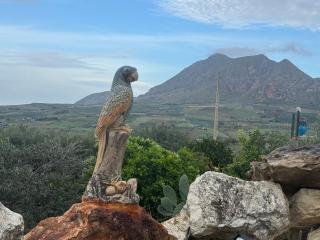 Villa Liliana Piroska - 4