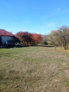 colina farm camping cort - 2