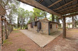 Campigallino - Casale Marittimo - 2