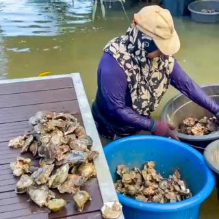 Che Deris Garden Cottage with Riverview - 3