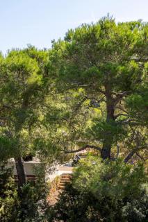 Can Serenico Ibiza - San Jose de sa Talaia - 2