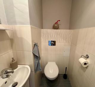 GRAFIT - Apartament na wzgórzu - Polanica Zdrój - 5