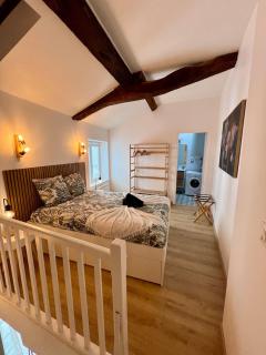 Perchoir Riboud - Coeur de ville - 8