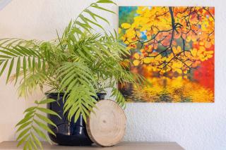 Ferienwohnung Luri - 4