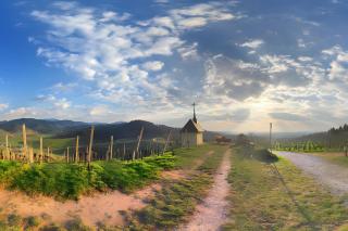 Ferienwohnungen Danner - 9