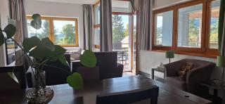 Prémiový apartmán s privátní saunou a terasou v blízkosti Lipenské nádrže a lyžařského střediska - 0