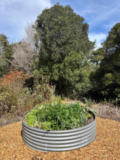 Hillandale House- a modern farmhouse near Plett - 8