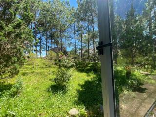 Rừng Lá Kim Resort - 8