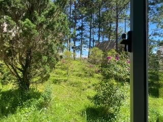 Rừng Lá Kim Resort - 6