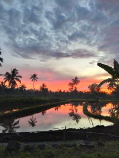 Nataqueen Bungalows Lombok - 4