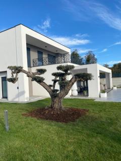 Villa BB Rapsody 10 with heated salt water pool - 8