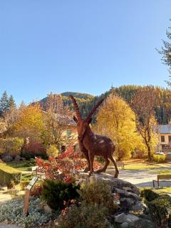 joli studio vue montagne - Allos - 3