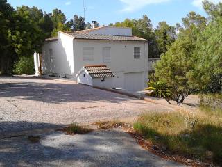 La Casa del bosque - 0