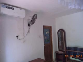 Green Woods Guest - 4