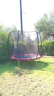 Olive Harmony House - 3