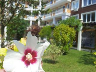 Villa Aria Complex - Sunny Beach - 4