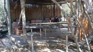 Wildland Safaris - 8