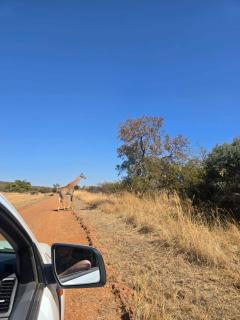 Wildland Safaris - 5