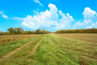 Gite La Bessede - Dordogne - 7