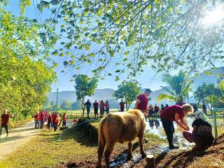 Maewin Farmstay - 6