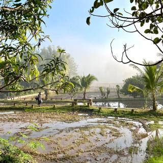 Maewin Farmstay - 5