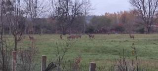 Gite Du Ptit Lou - 2