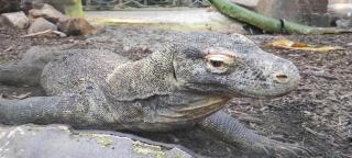 Gite Du Ptit Lou - 1