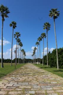 一棟貸民泊西戸崎駅前 - 2