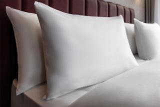 Radisson Blu Resort Kumbhalgarh - 9