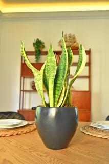 The North - Floor apartment in Kato Halandri - 2