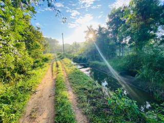 Ritigala Wedda Ancient Path - 5