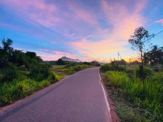 Ritigala Wedda Ancient Path - 4