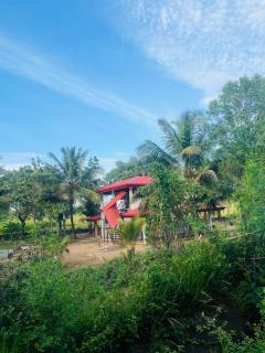 Ritigala Wedda Ancient Path - 3