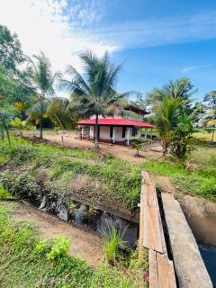 Ritigala Wedda Ancient Path - 2