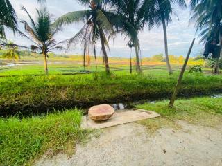 Ritigala Wedda Ancient Path - 1