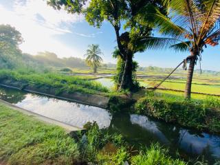 Ritigala Wedda Ancient Path - 0