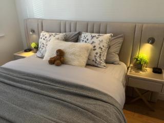 Sunny Bright Flat near South Park and OxfordBrooks - 3