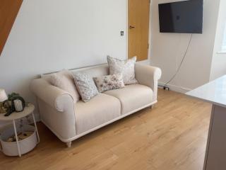 Sunny Bright Flat near South Park and OxfordBrooks - 1