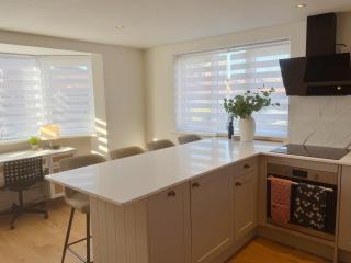 Sunny Bright Flat near South Park and OxfordBrooks - 9