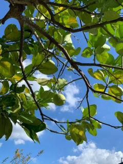 河岸香榭&田苑民宿 - 7