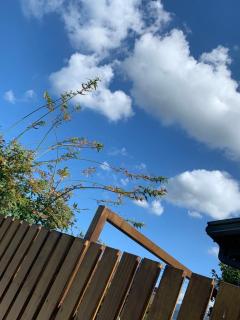 河岸香榭&田苑民宿 - 1