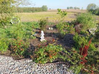 Dolina dwóch stawów - 0