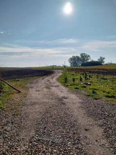 Dolina dwóch stawów - 2