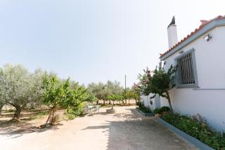 Myrsini's House - Neapoli Garden & Grove Retreat - 8