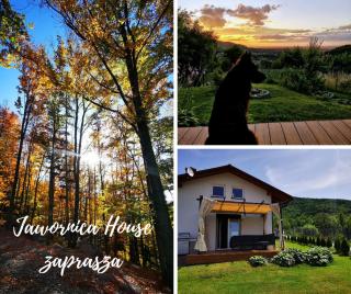 JAWORNICA HOUSE domek z pięknym widokiem - 9