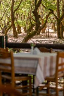 Mountain Hotels "Aroanides" - 8