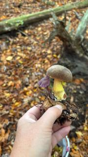 Ferienwohnung Emma - 8