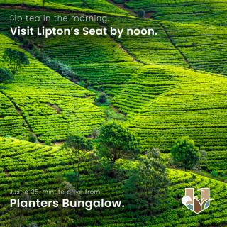 Villa Republic Planters Bungalow Bandarawela - 8