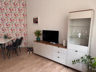 Kamienica Apartament Iława PIERWSZE PIĘTRO - 8