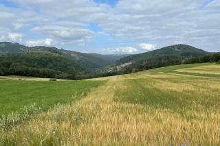 Beautiful 8 Bed Apartment in Hallenberg - 4